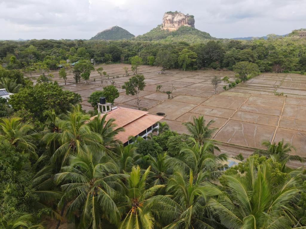 Hotel Castle View Sigiriya Exterior foto